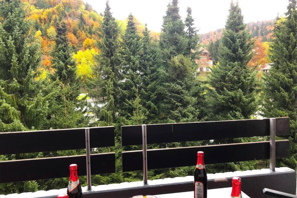 Ferienwohnung Schwarzwald Тодтмос Экстерьер фото