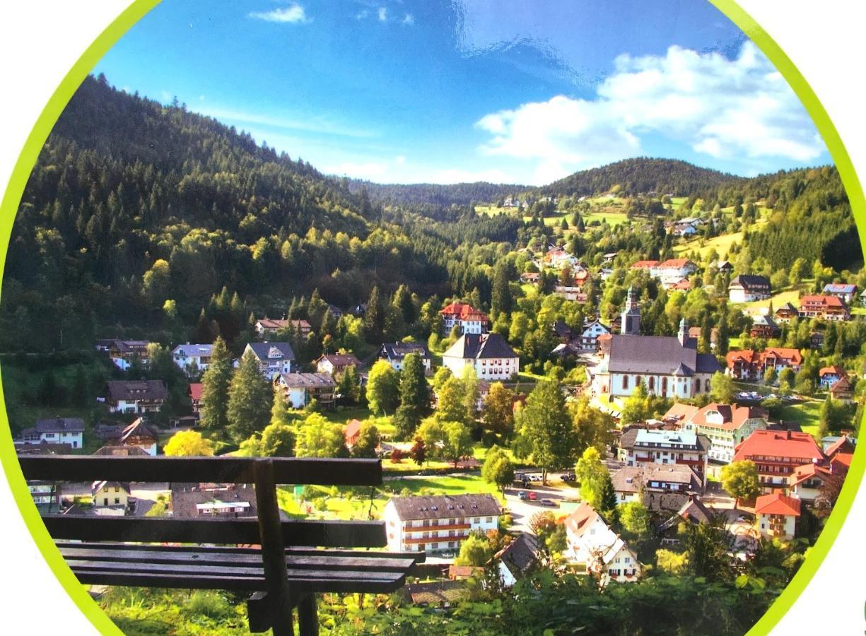 Ferienwohnung Schwarzwald Тодтмос Экстерьер фото